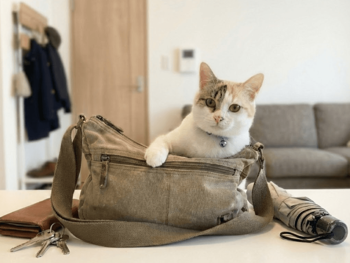 ◯◯◯を1つにする