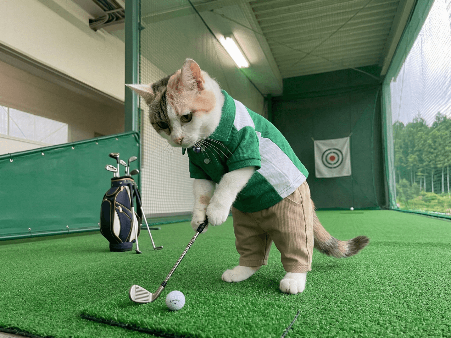 ゴルフは脱・猫背打法で上達する!?