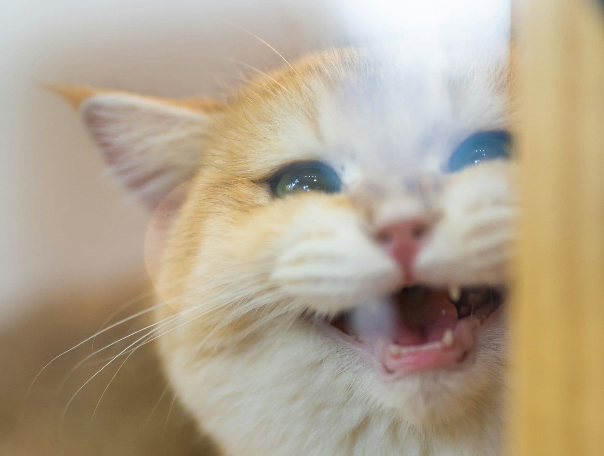 明るく前向きになれる「林家◯ー・◯ー子メソッド」