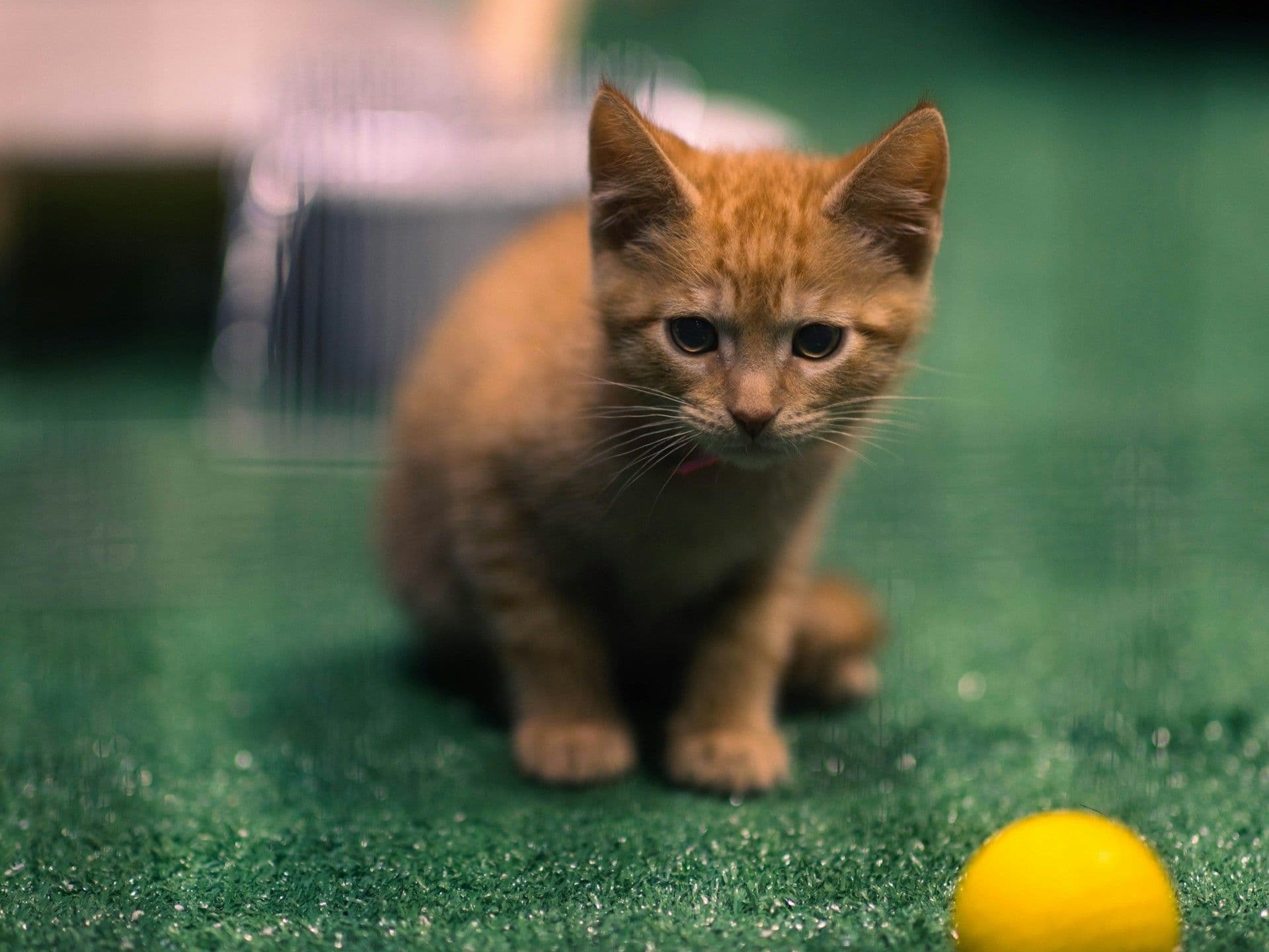 ゴルフは脱・◯◯打法で上達する!?