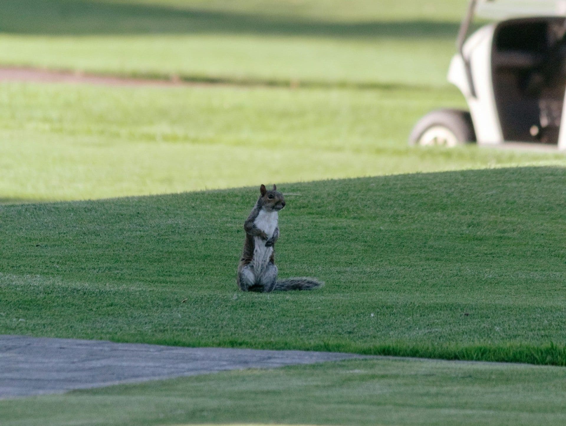 ゴルフは◯○◯◯打法で上達する!?