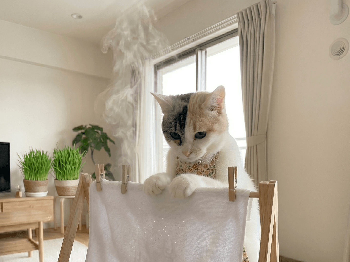 加湿器なしで部屋を加湿する方法|電気代を節約しながら快適な湿度を保つコツ